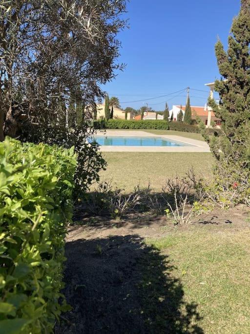 Panorama Apartment Sagres *Pool* Extérieur photo